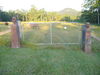 Filename=Copy_of_133_3333.JPG
Filesize=1545KB
Dimensions=2272x1704
Date added=Sep 21, 2006 Copy_of_133_3333.JPG
