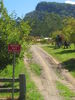 Filename=Copy_of_133_3389.JPG
Filesize=1557KB
Dimensions=1704x2272
Date added=Sep 21, 2006 Copy_of_133_3389.JPG