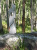 Filename=Copy_of_135_3546.JPG
Filesize=1482KB
Dimensions=1704x2272
Date added=Sep 21, 2006 Copy_of_135_3546.JPG