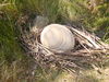 DSC00044.JPG